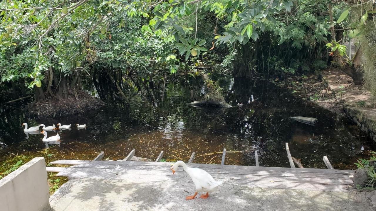 Casa Da Lagoa Porto Seguro Kültér fotó